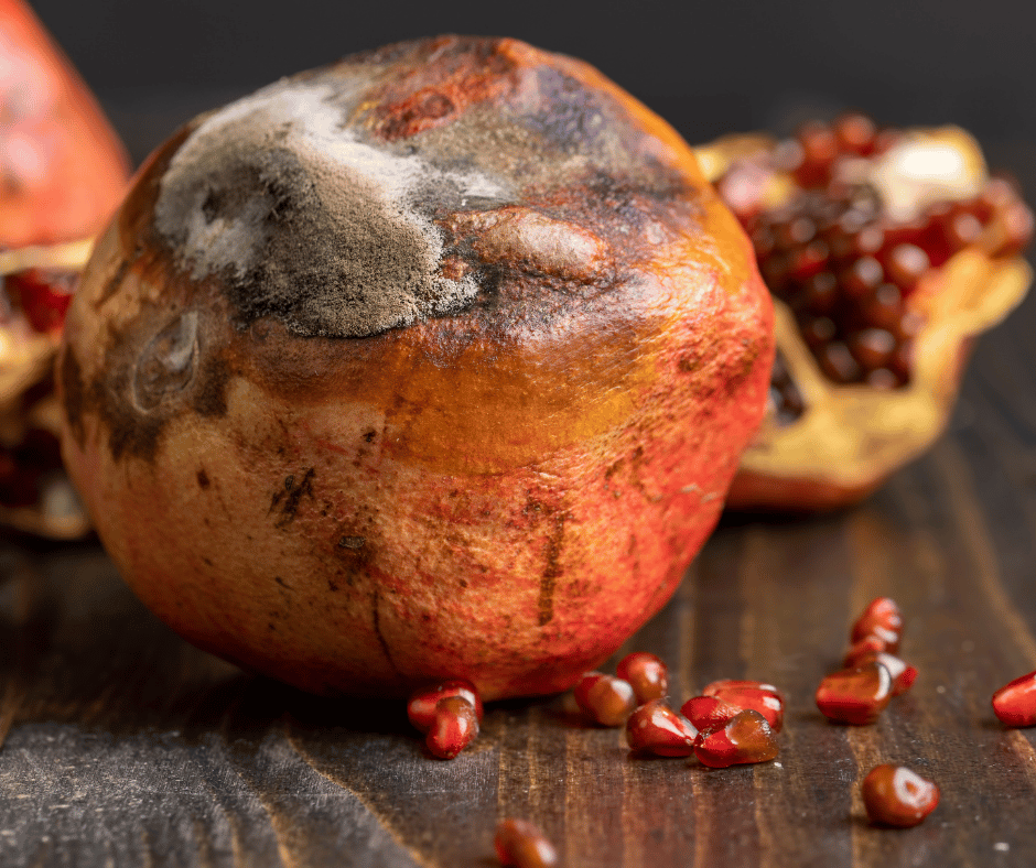 How to Store Food Better and Make It Last Longer