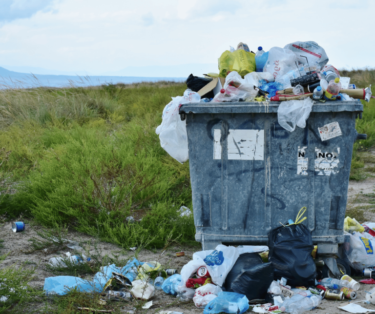 food waste