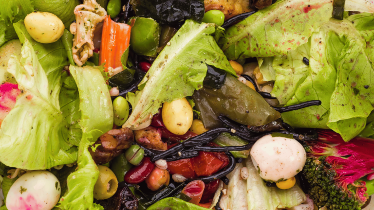 food-waste
