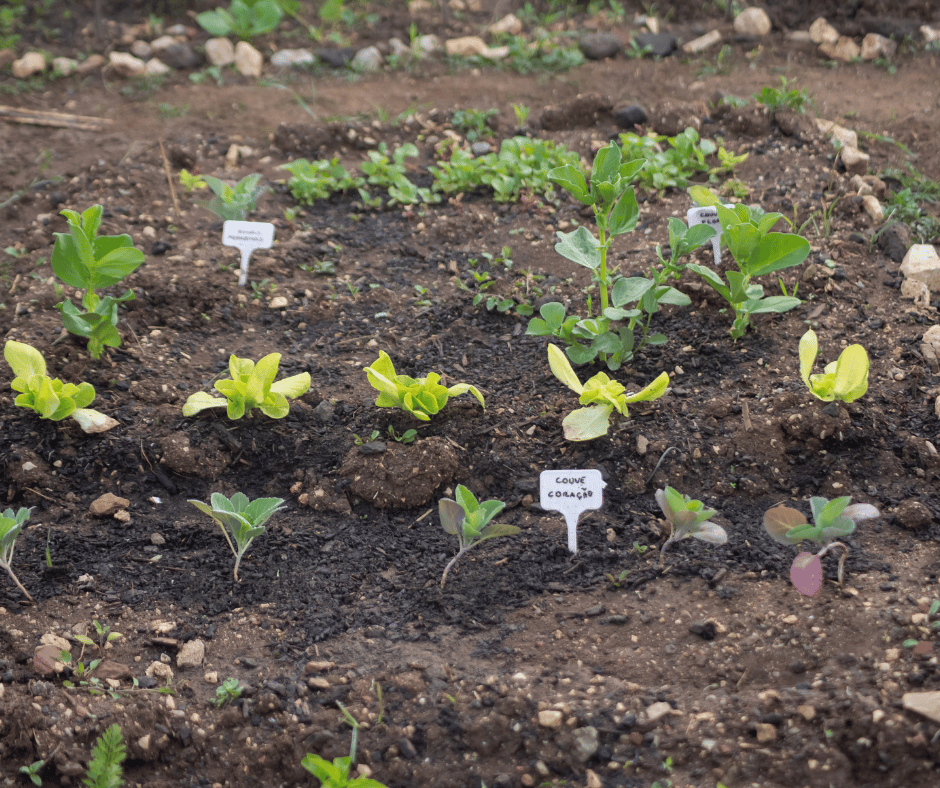 home gardens